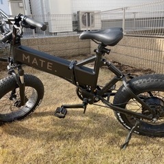 mate x bike 250