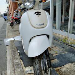 ホンダ　ジョルノ　極上品