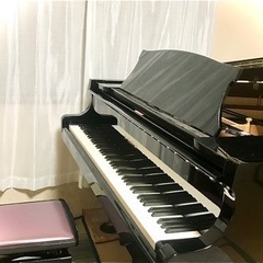 大人のピアノのレッスン♫　月1回〜でも可能な大人のピアノ教室♪の画像