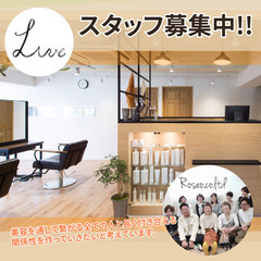 Live 正社員アシスタント募集中!! 楽しみながらやりがいを感...