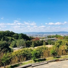 ＼天理cafewawa／ベビーマッサージ教室の画像