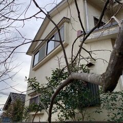 八街市朝日の中古建　４LDK