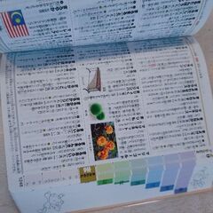 【未使用新品】カラー版小学国語辞典　チャレンジ　Benesse　ベネッセの画像