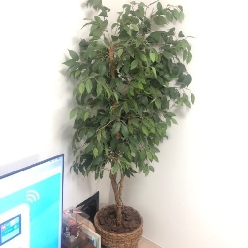 【再募集】定価2万　造花　190㎝　フェイク　観葉植物　フェイクグリーン
