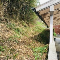 山口県の周防大島、平屋。スローライフ　海近く自然がいっぱい　 − 山口県
