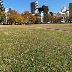 キャッチボールしましょう！予定多数‼️ - 広島市