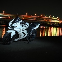 Kawasaki ninja250R zx6r顔　街乗り　カスタム豊富