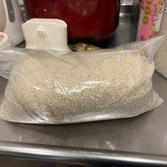 【お取引先決定】コシヒカリ 約10合の画像