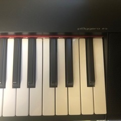 【専用出品】売約済です-ヤマハ　ピアジェーロ NP-32 の画像