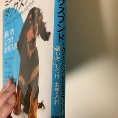 本　はじめてのダックスフンド　飼い方しつけお手入れの画像