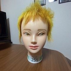 カットウィッグ・美容用マネキン