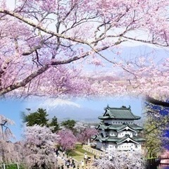 🌈🌸お花見しましょ〜🌸🌈