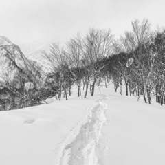 北信バックカントリー仲間募集 - スポーツ