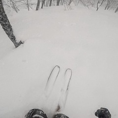 北信バックカントリー仲間募集 − 長野県