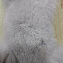 成人式　振り袖　ファー　パープルの画像