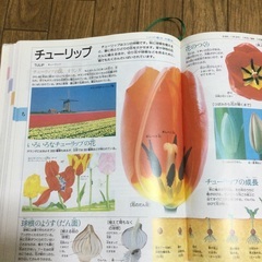 21世紀こども百科の画像