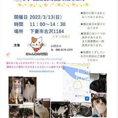 保護猫譲渡会　古沢　3/13