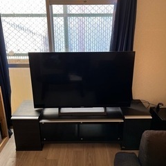 SONY BRAVIA49インチ