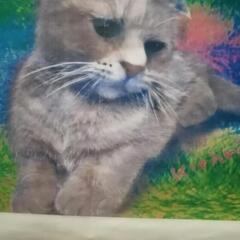猫の手貸します。