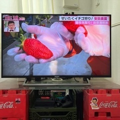 中古SONY TV 43インチ