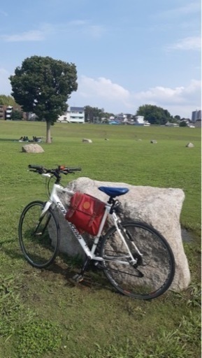 キャノンデール (CANNONDALE) 自転車