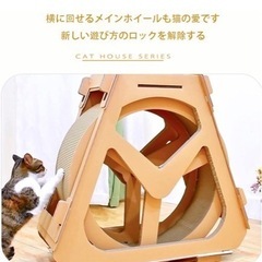 キャットホイールの画像