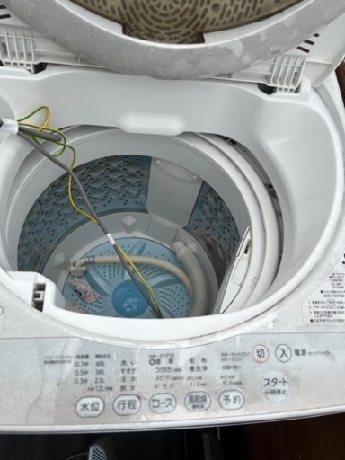本日限定　2015年　洗濯機　早い人優先