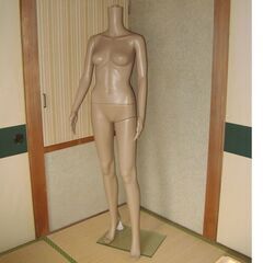 レディース トルソー マネキン　アパレル 展示 ネット販売撮影用...