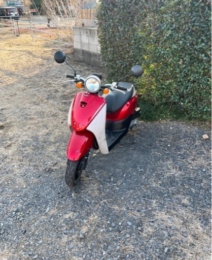 181.  動画あり　ホンダ　AF67トゥデイ　原付　バイク　50cc   車体