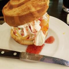 とことこツーリング仲間募集 − 大阪府