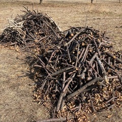 【決まりました】薪欲しい方の画像