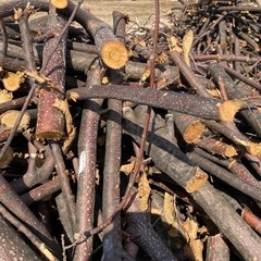【決まりました】薪欲しい方の画像