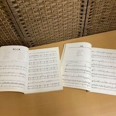 Mr.Children ピアノ弾き語り ピアノスコア ミスターチルドレン my favorite songs Including 47 words&music ミスチル 古本 ☆ PayPay(ペイペイ)決済可能 ☆ 札幌市 白石区 東札幌 アウトレットモノハウス白石店の画像