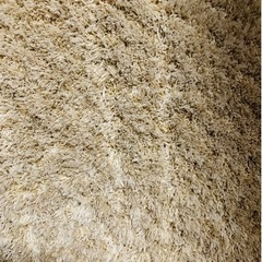 アクセントラグ(SシャギーBE 180エンケイ)の画像