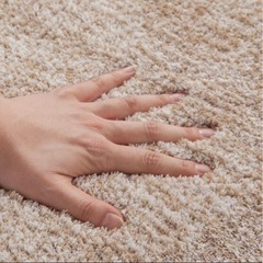 アクセントラグ(SシャギーBE 180エンケイ)の画像