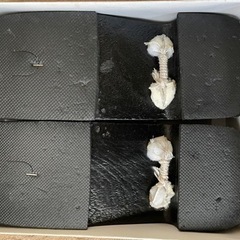 下駄　2回使用の画像
