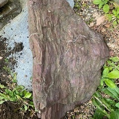 庭石④ 無料