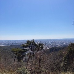 趣味友探し