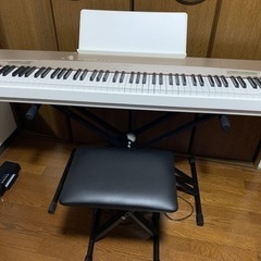 【1月末まで値下げ】CASIO Privia PX-160GD