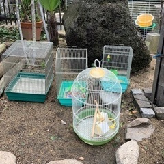 鳥かごの画像