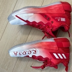 バスケットボールシューズの画像