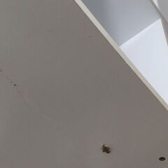 【決まりました】4日12時〜の画像