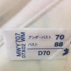 ワコール♡ブライダルマタニティインナーの画像