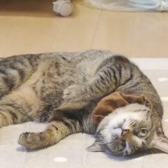 3月3日ランチ