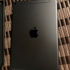 Apple iPad mini 5 スペースグレイ 256G Wi-Fi+ｾﾙﾗｰ