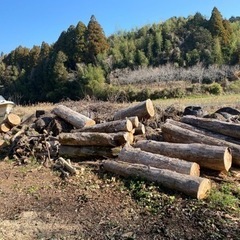 キャンプ　薪　スエーデントーチ　原木の画像
