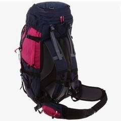 Coleman アルパインパック マウントトレック45 レギュラーの画像
