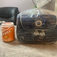 《新品》ポーチの画像