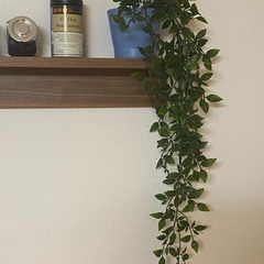 IKEA フェイカ＋植木鉢の画像