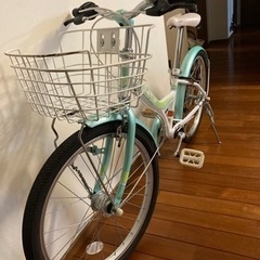 アサヒ子供用自転車22インチPECHE(ペシェ) グリーン (kazkazkaz